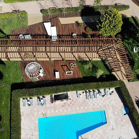 Verdeal Moimenta da Beira