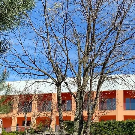 Verdeal Moimenta da Beira