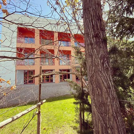 Verdeal Moimenta da Beira